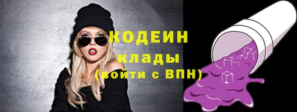 2c-b Ельня