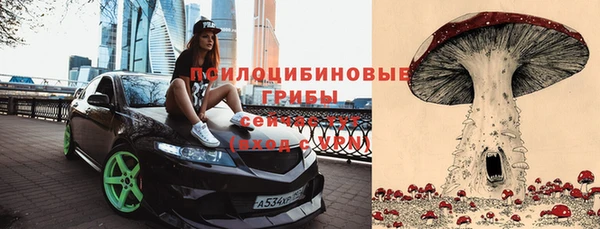 a pvp Дмитриев