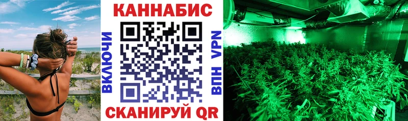 Шишки марихуана SATIVA & INDICA  Купить  Стародуб 